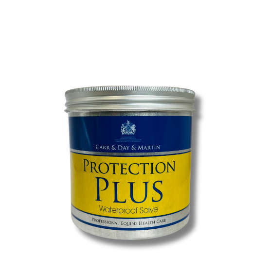 Protection Plus