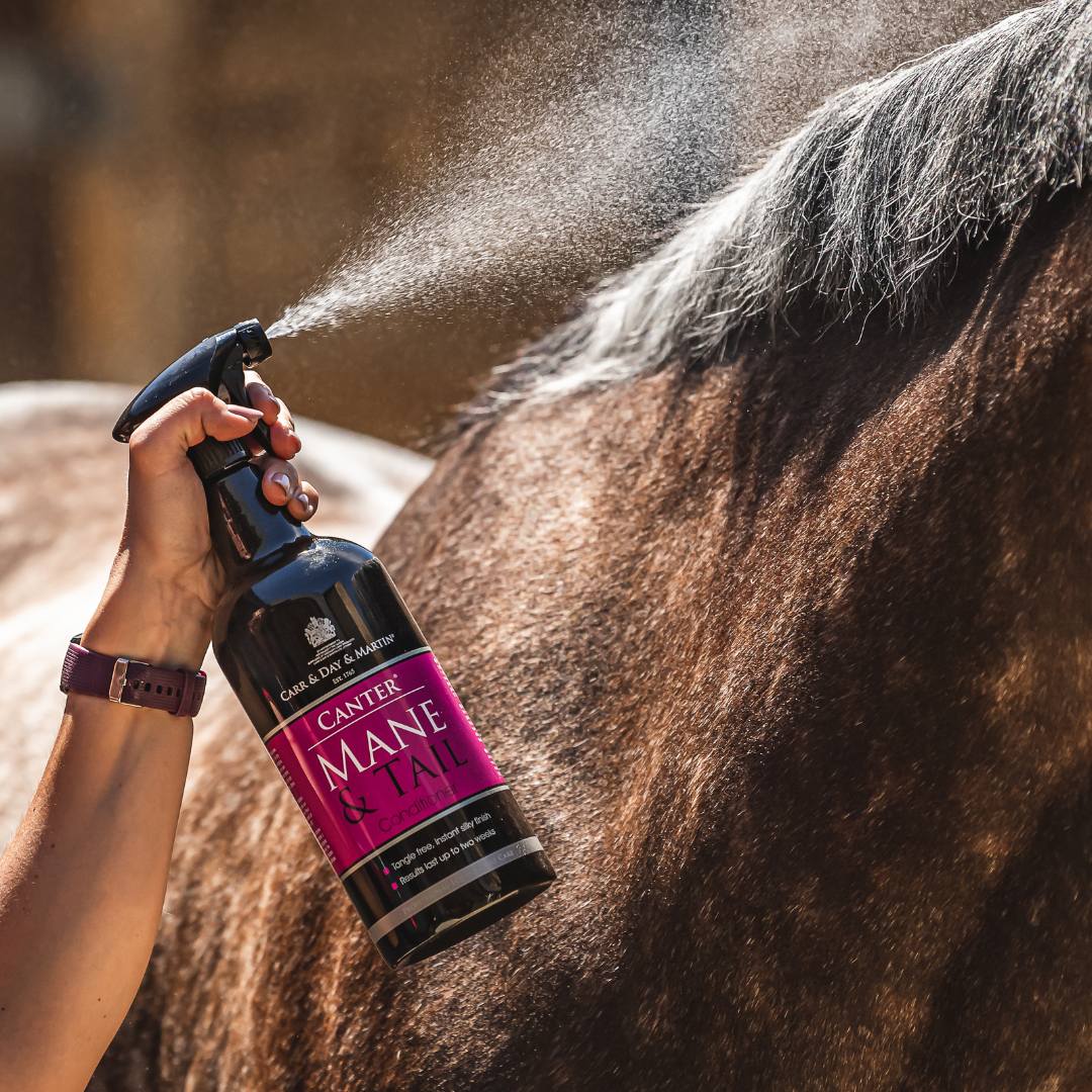 Canter Mane & Tail & Dream Coat; Grooming Duo|Carr & Day & Martin