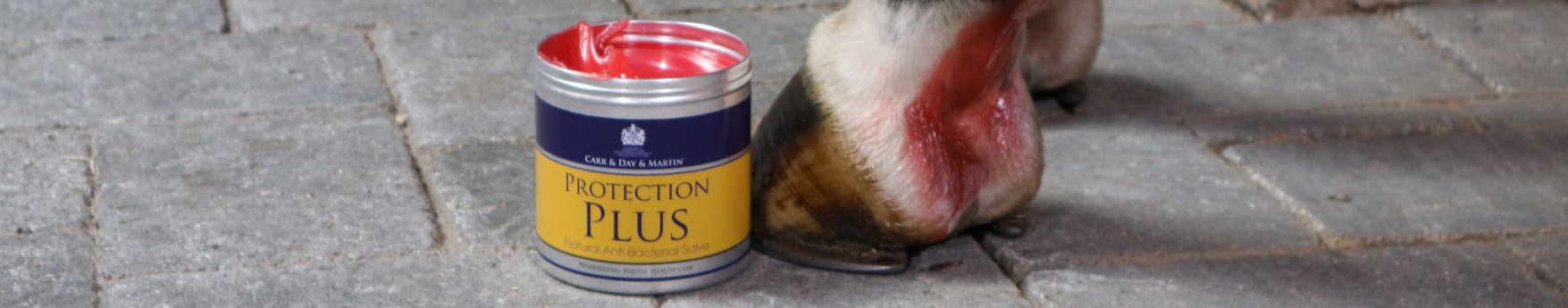 Apply Protection Plus to prevent mud fever